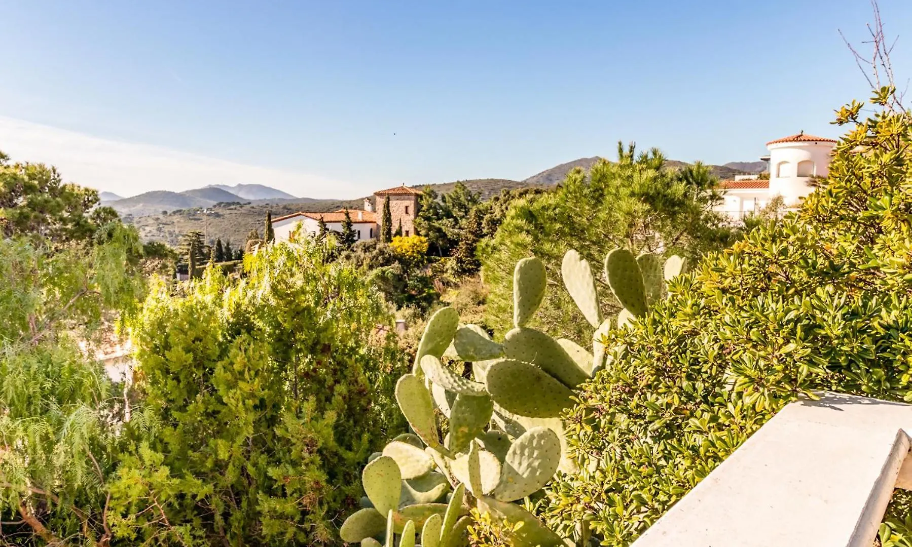 Grifeu 10 Apartamento Con Terraza Girona Spain